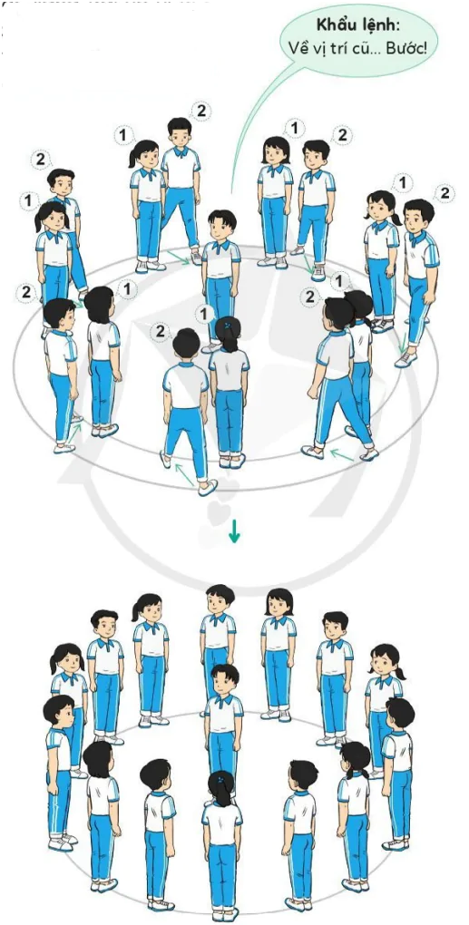 hinh-anh-bai-1-bien-doi-doi-hinh-tu-mot-vong-tron-thanh-hai-ba-vong-tron-va-nguoc-lai-9589-6