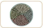 hinh-anh-bai-7-trong-va-cham-soc-cay-canh-trong-chau-10151-6