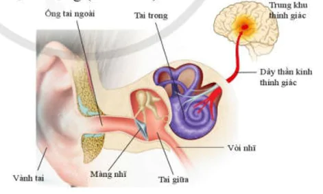hinh-anh-bai-17-ap-suat-chat-long-va-chat-khi-10761-21