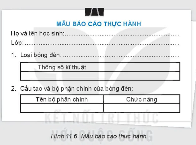 hinh-anh-bai-11-den-dien-8247-11