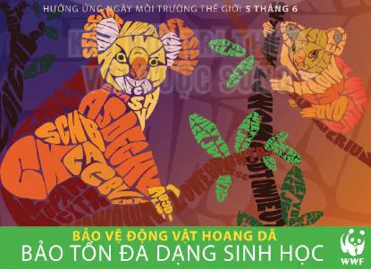 hinh-anh-bai-1-khai-quat-ve-thiet-ke-do-hoa-12251-26