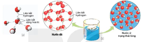 hinh-anh-bai-4-cac-nguyen-to-hoa-hoc-va-nuoc-12803-6