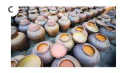 hinh-anh-bai-22-vai-tro-va-ung-dung-cua-vi-sinh-vat-12871-10
