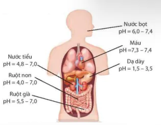 hinh-anh-bai-2-can-bang-trong-dung-dich-nuoc-13177-35
