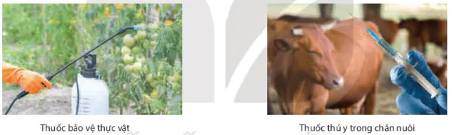 hinh-anh-bai-10-ngo-doc-thuc-pham-13589-6 hinh-anh-bai-10-ngo-doc-thuc-pham-13589-6