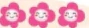 hinh-anh-tuan-20-7891-7 hinh-anh-tuan-20-7891-7