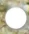 hinh-anh-colors-8629-6 hinh-anh-colors-8629-6
