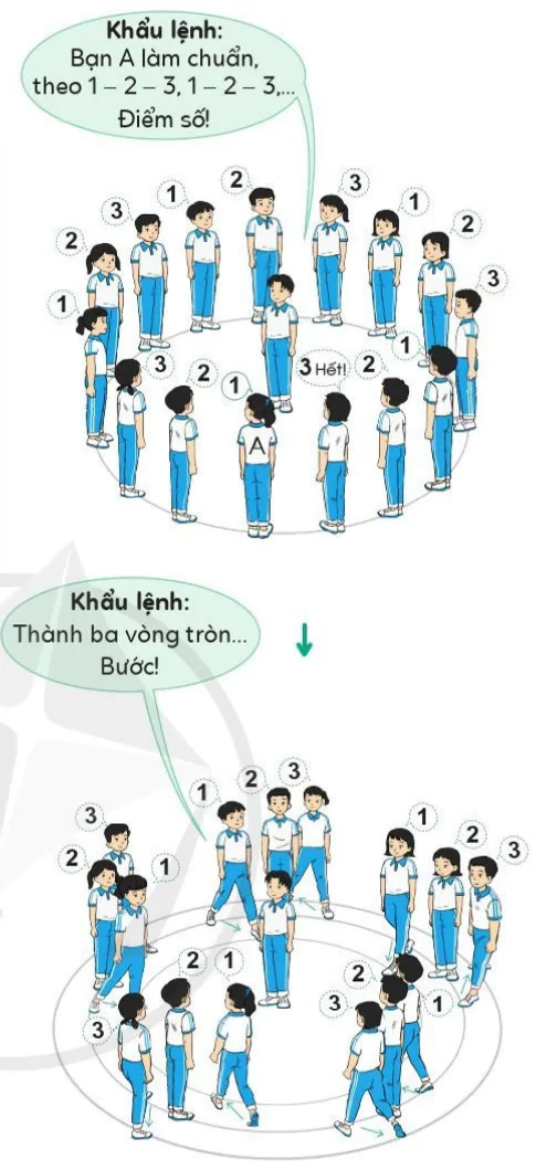 hinh-anh-bai-1-bien-doi-doi-hinh-tu-mot-vong-tron-thanh-hai-ba-vong-tron-va-nguoc-lai-9589-7