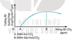 hinh-anh-bai-4-quang-hop-o-thuc-vat-12041-7