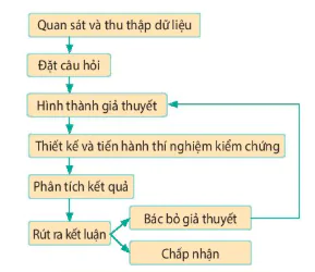 hinh-anh-bai-2-phuong-phap-nghien-cuu-va-hoc-tap-mon-sinh-hoc-12801-7
