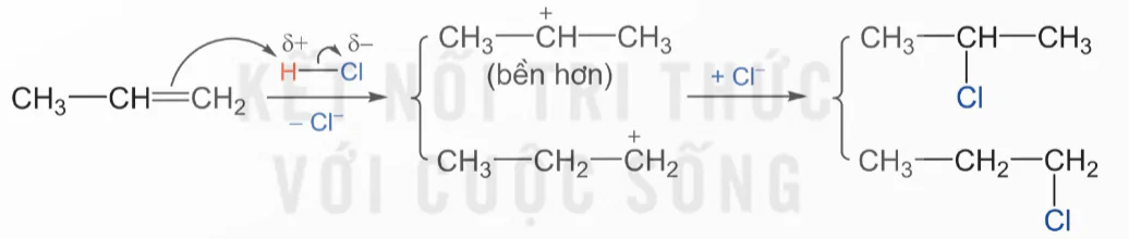 hinh-anh-bai-3-co-che-phan-ung-cong-13924-20 hinh-anh-bai-3-co-che-phan-ung-cong-13924-20