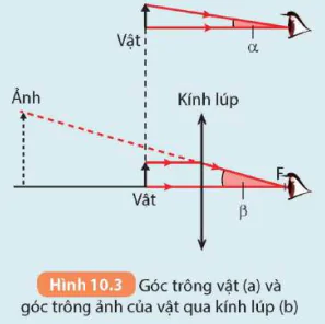 hinh-anh-bai-10-kinh-lup-bai-tap-thau-kinh-5714-6