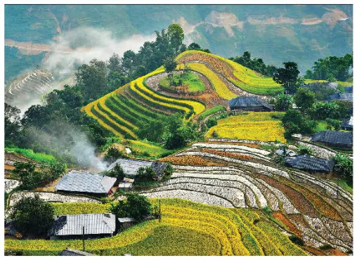 hinh-anh-bai-1-khai-quat-ve-nghe-thuat-nhiep-anh-12267-24