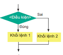 hinh-anh-bai-19-cau-lenh-re-nhanh-if-12273-8
