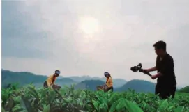 hinh-anh-bai-1-khai-quat-ve-video-clip-12979-8
