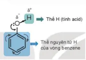 hinh-anh-bai-21-phenol-13664-7