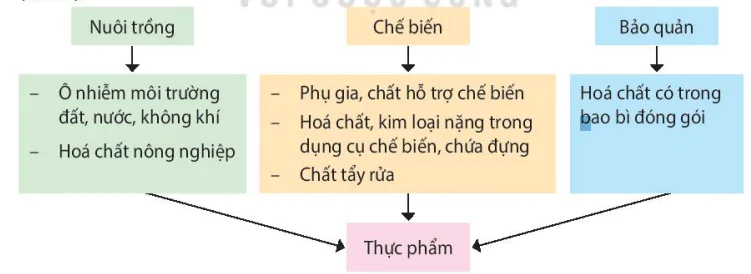 hinh-anh-bai-10-ngo-doc-thuc-pham-13589-8 hinh-anh-bai-10-ngo-doc-thuc-pham-13589-8
