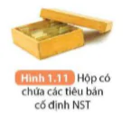 hinh-anh-bai-1-nhan-biet-mot-so-dung-cu-hoa-chat-thuyet-trinh-mot-van-de-khoa-hoc-5696-12