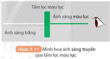hinh-anh-bai-7-lang-kinh-5710-15