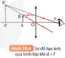 hinh-anh-bai-10-kinh-lup-bai-tap-thau-kinh-5714-7