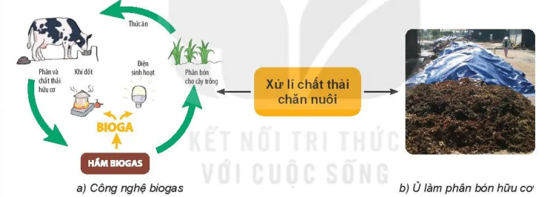 hinh-anh-bai-9-gioi-thieu-ve-chan-nuoi-7448-10