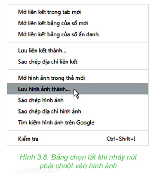 hinh-anh-bai-7-tim-kiem-thong-tin-tren-internet-5994-8