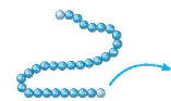 hinh-anh-bai-5-cac-phan-tu-sinh-hoc-12804-16