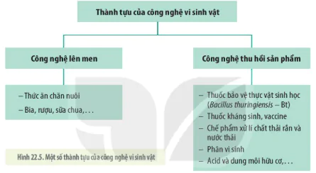 hinh-anh-bai-22-vai-tro-va-ung-dung-cua-vi-sinh-vat-12871-16