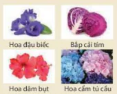 hinh-anh-bai-2-can-bang-trong-dung-dich-nuoc-13177-38