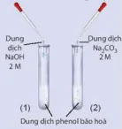 hinh-anh-bai-21-phenol-13664-11