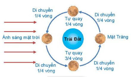 hinh-anh-bai-5-dac-diem-chuyen-dong-nhin-thay-cua-mot-so-thien-the-tren-nen-troi-sao-13198-8