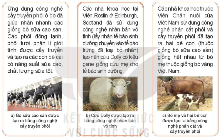 hinh-anh-bai-1-bai-mo-dau-13786-7