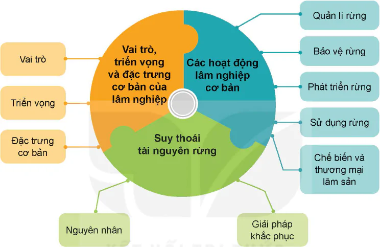 hinh-anh-on-tap-chuong-i-12189-0