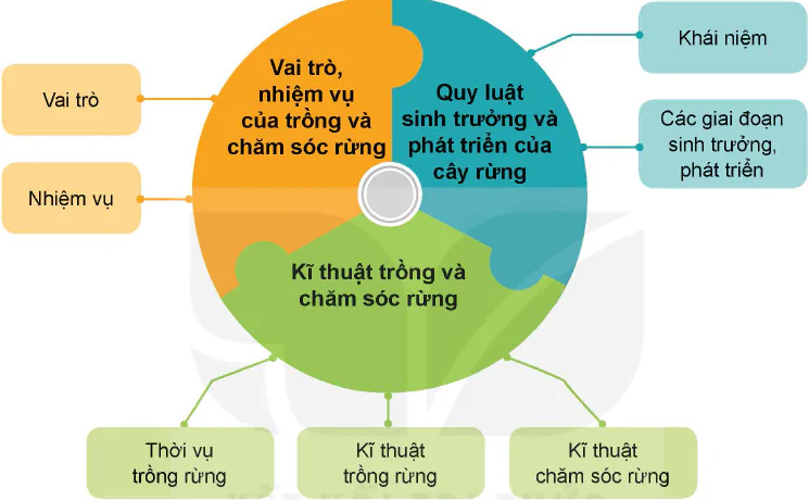 hinh-anh-on-tap-chuong-ii-12194-0