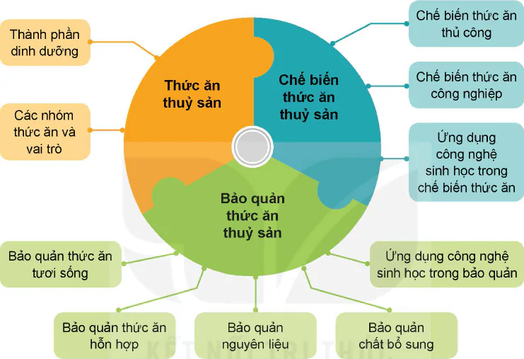 hinh-anh-on-tap-chuong-vii-12285-0