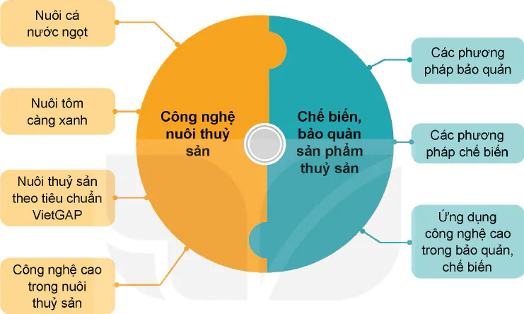 hinh-anh-on-tap-chuong-viii-12291-0