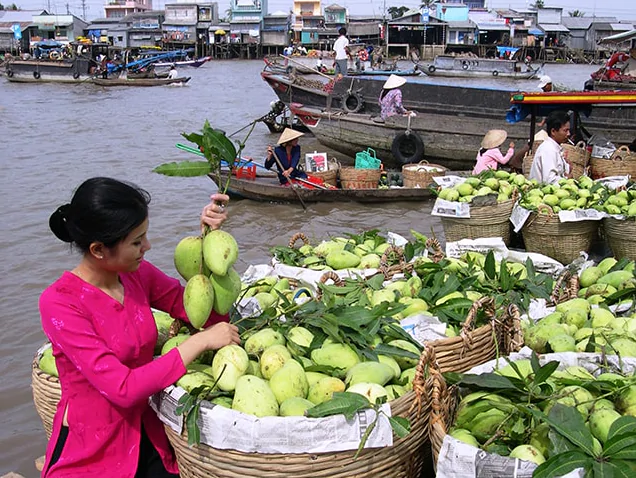hinh-anh-language-2273-0