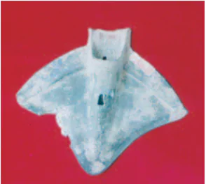 hinh-anh-bai-1-nuoc-van-lang-359-2