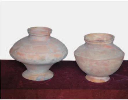 hinh-anh-bai-1-nuoc-van-lang-359-8
