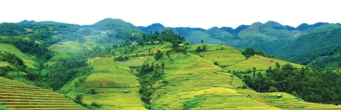 hinh-anh-communication-2268-0