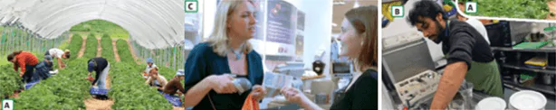hinh-anh-5g-speaking-student-holiday-jobs-11483-0